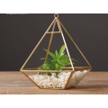 Nieuw product binnen geometrisch glazen hangend terrarium